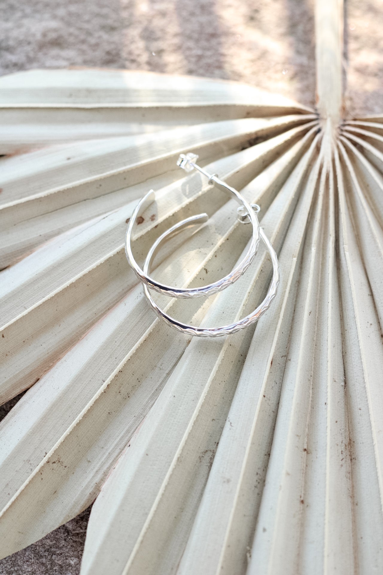 Silver hoop earrings on a palm leaf on a  textured beige surface