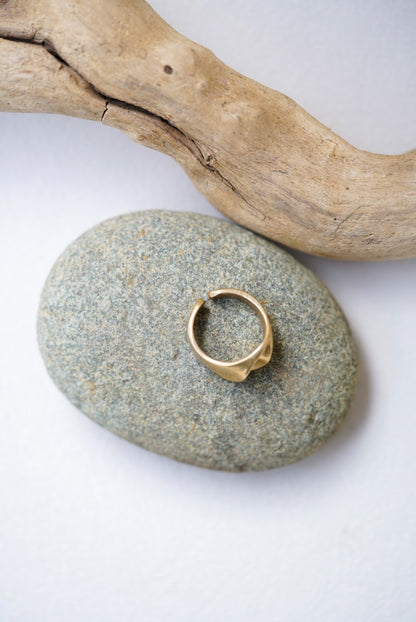 Gold ring on a stone with a piece of driftwood in the background