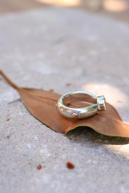 Silver ring with a textured band on a brown leaf