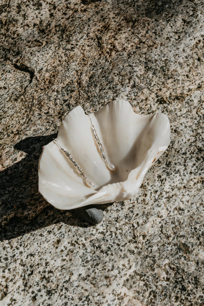 Shell with silver earrings on a textured stone surface