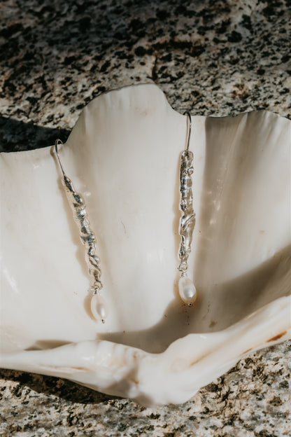 Silver earrings hanging from a shell on a textured surface